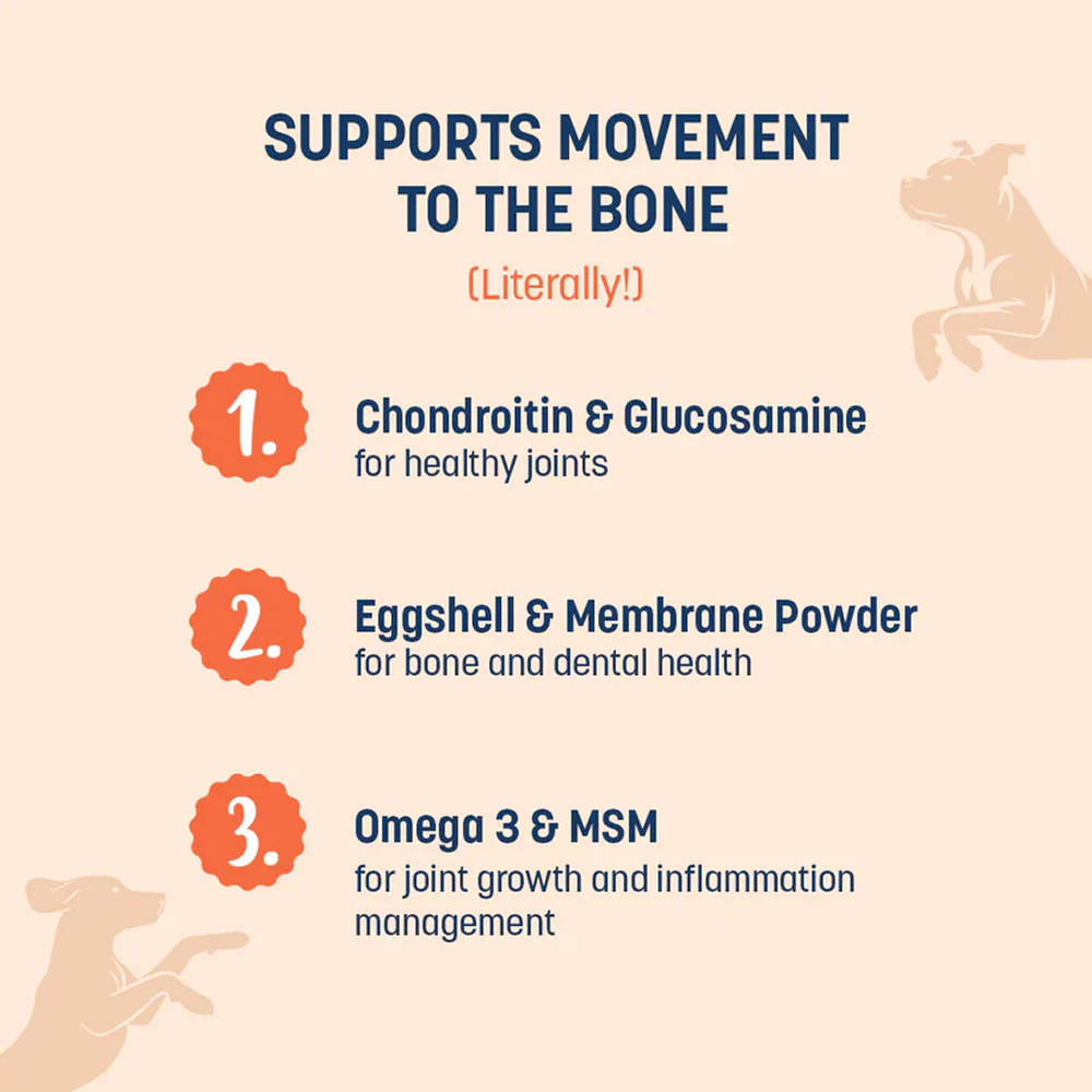 HUFT Sara's Boosters Bone & Joint Mobility Dogs Supplement - Image 4