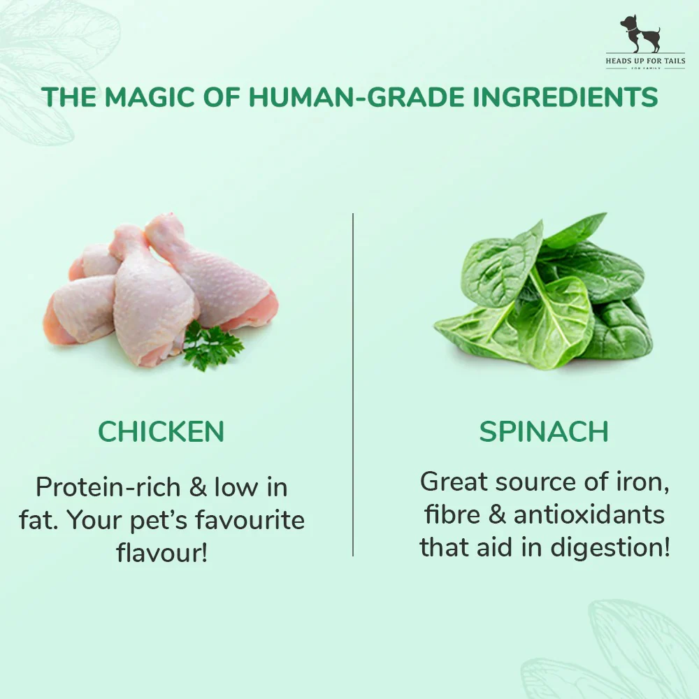 HUFT Sara's Doggie Grain Free Chicken with Spinach Jerky Dog Treats - Image 2