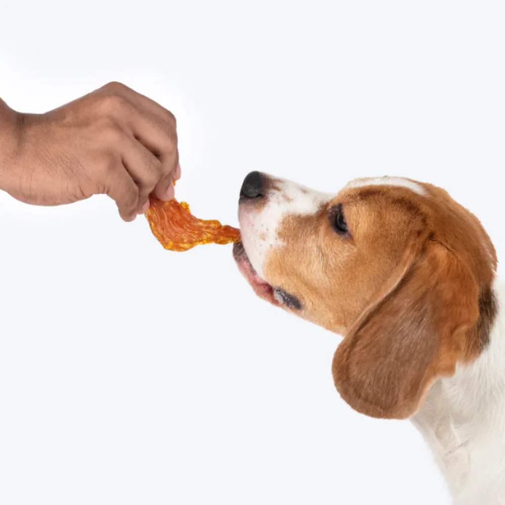 HUFT Sara's Doggie Mango Chicken Jerky Dog Treats - Image 3