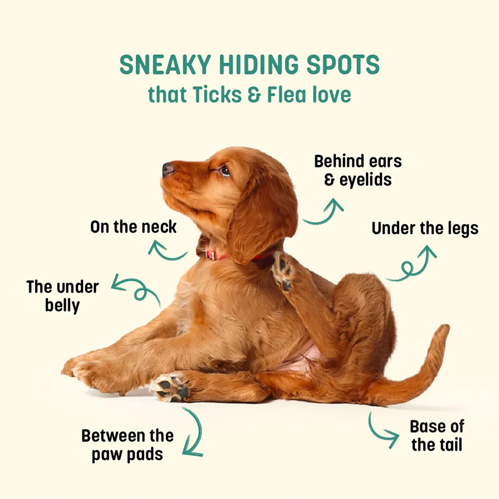 HUFT Sara's Natural Anti Flea & Tick Powder for Dogs and Cats - Image 4