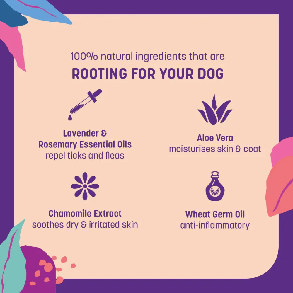 HUFT Sara's Natural Lavender & Rosemary Flea & Tick Relief Shampoo for Dogs - Image 3