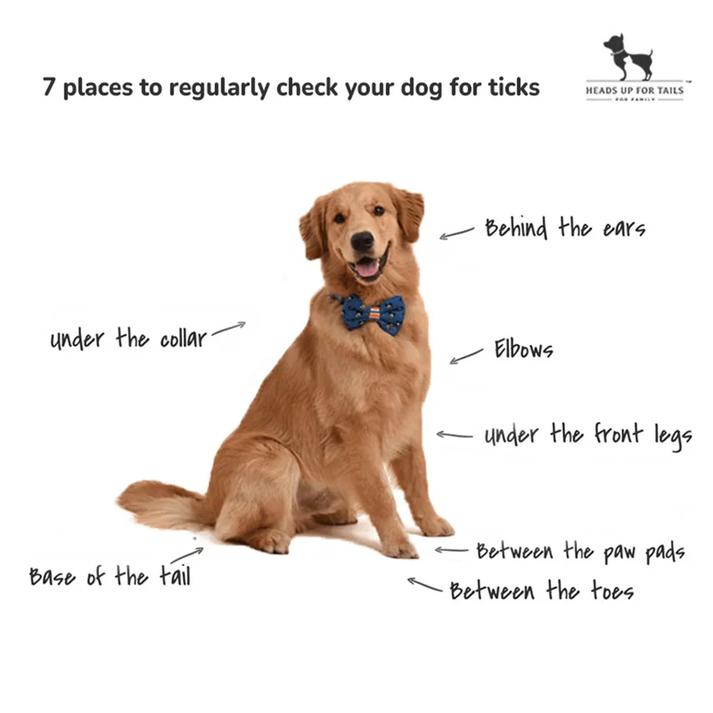 HUFT Sara's Organic Anti-Flea & Tick Spray for Dogs - Image 3