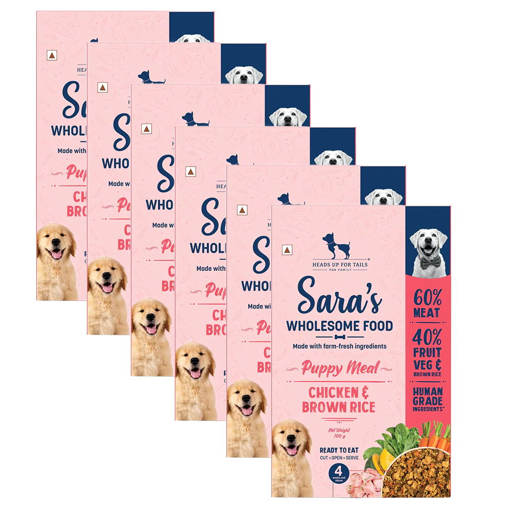 HUFT Sara's Wholesome Chicken and Brown Rice Puppy Dog Wet Food - Image 11