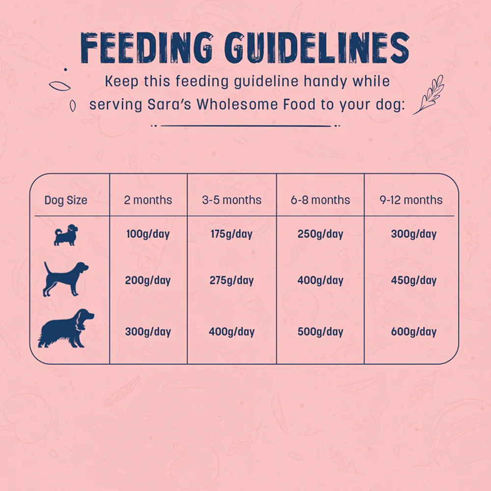 HUFT Sara's Wholesome Chicken and Brown Rice Puppy Dog Wet Food - Image 7