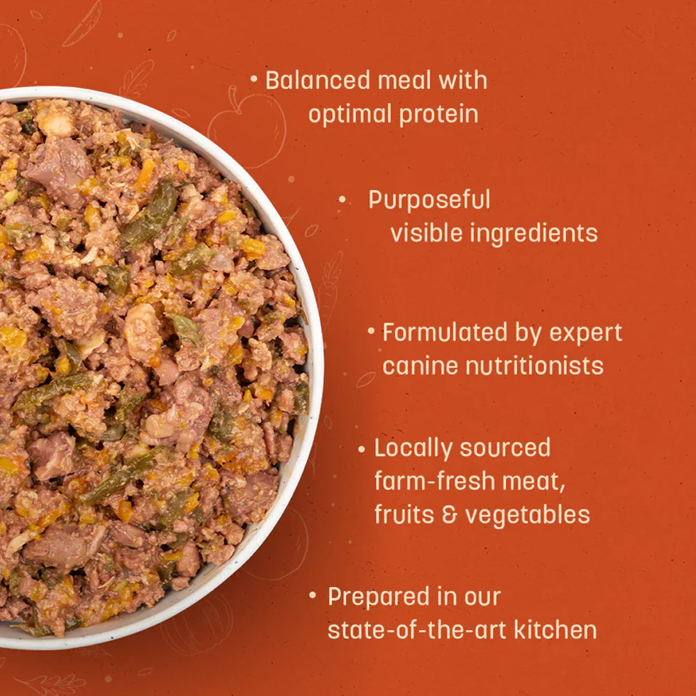 HUFT Sara's Wholesome Chicken and Veggies Dog Wet Food - Image 6