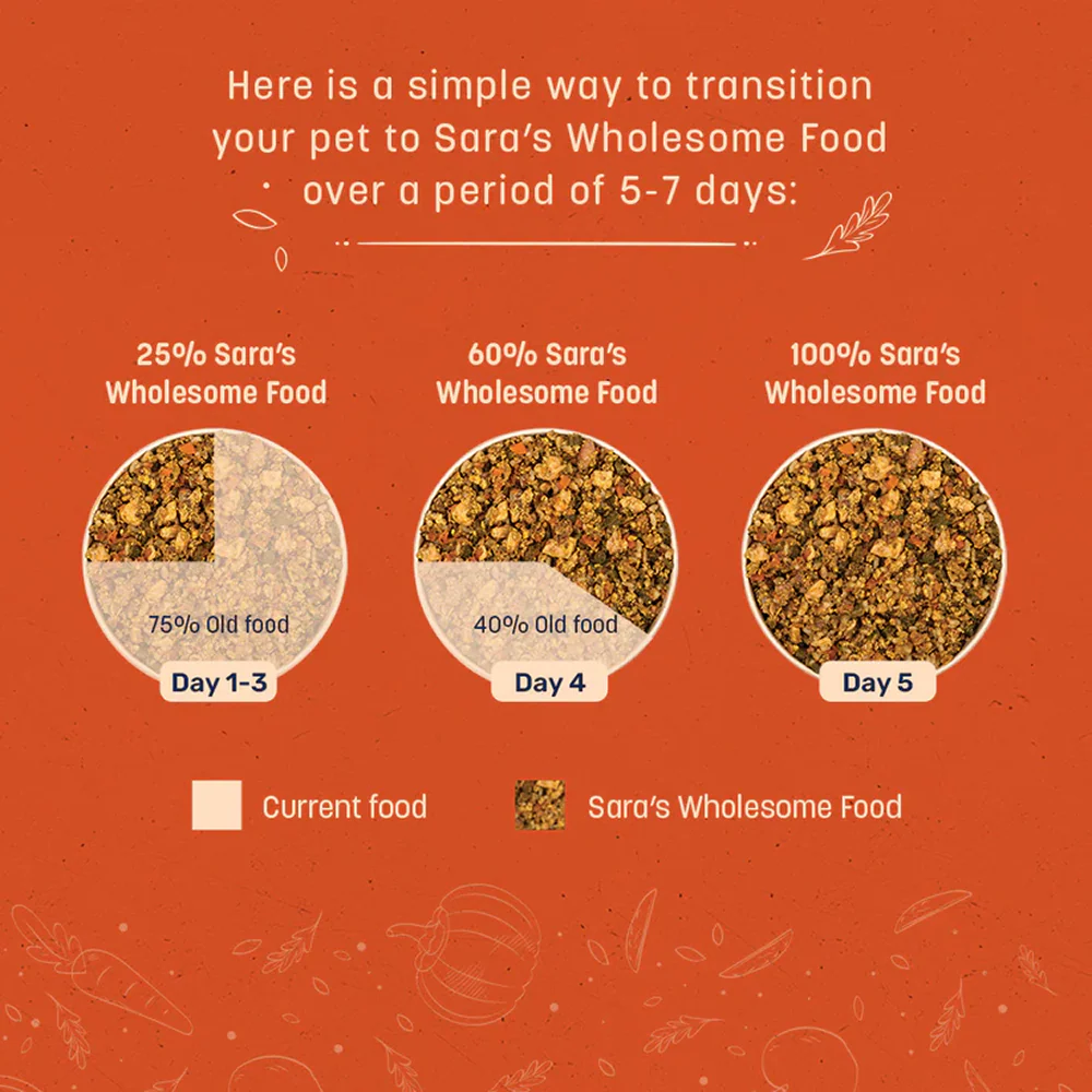 HUFT Sara's Wholesome Chicken and Veggies Dog Wet Food - Image 7