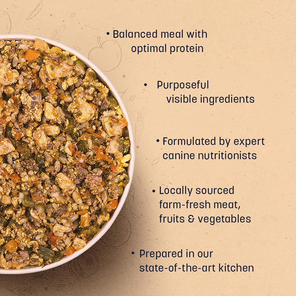 HUFT Sara's Wholesome Classic Chicken and Brown Rice Dog Wet Food - Image 11