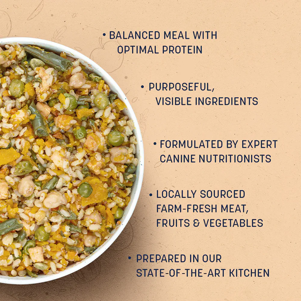 HUFT Sara's Wholesome Classic Paneer and Veggies Dog Wet Food - Image 6