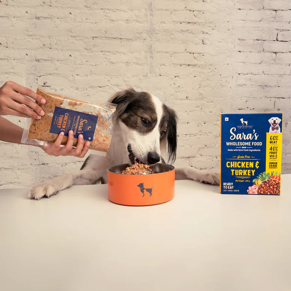 HUFT Sara's Wholesome Grain Free Chicken & Turkey Wet Food and Yum Nums Blueberry with Real Chicken Soft & Chewy Sticks Dog Treats Combo - Image 9