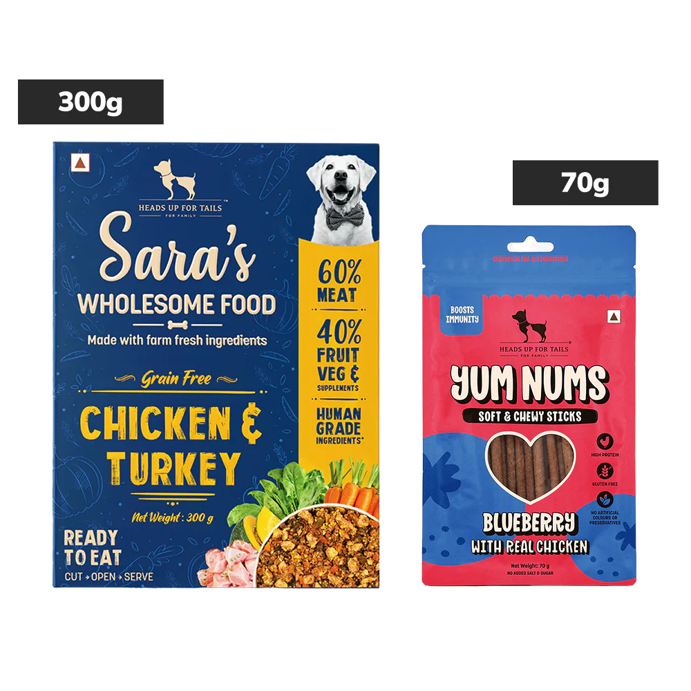 HUFT Sara's Wholesome Grain Free Chicken & Turkey Wet Food and Yum Nums Blueberry with Real Chicken Soft & Chewy Sticks Dog Treats Combo