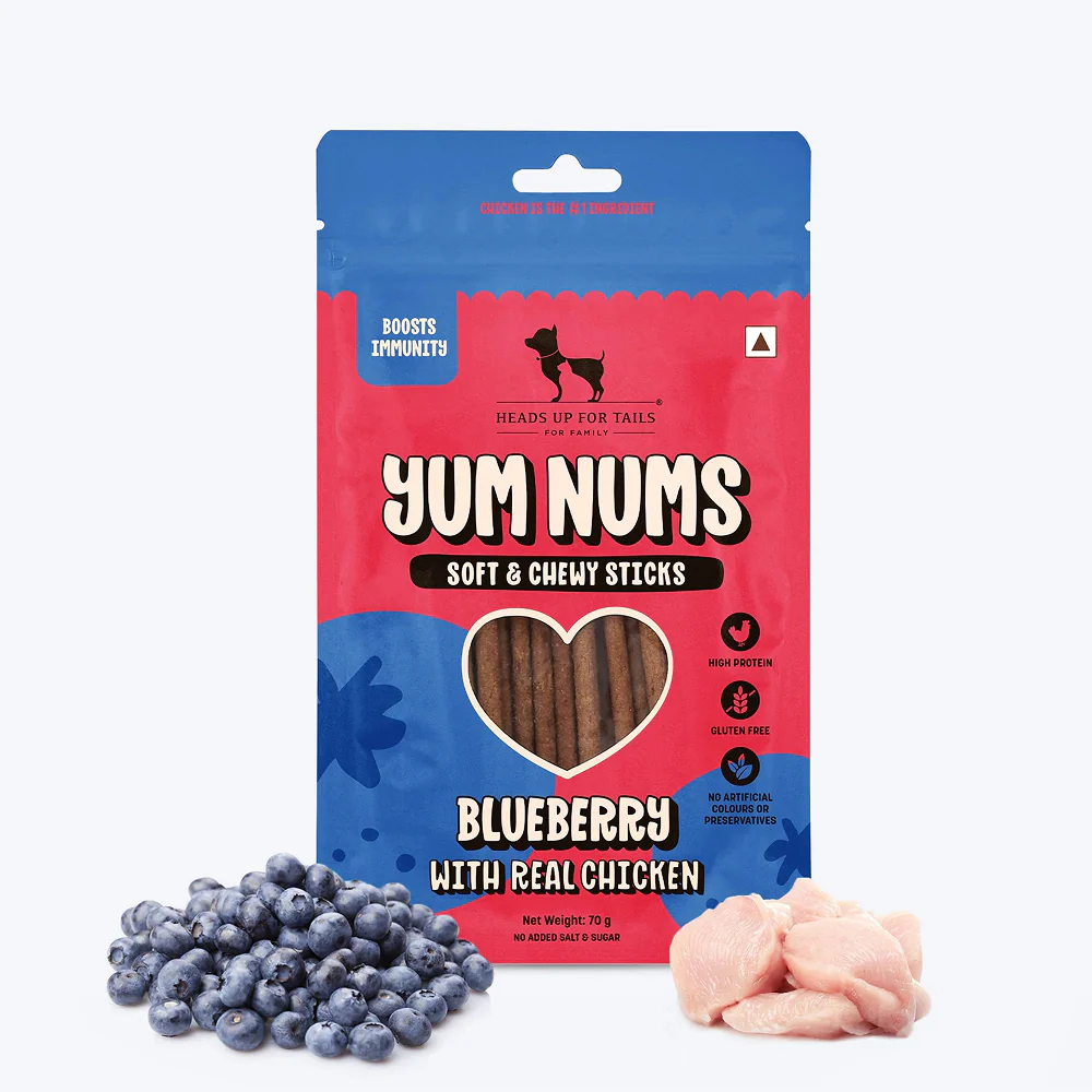 HUFT Sara's Wholesome Grain Free Chicken & Turkey Wet Food and Yum Nums Blueberry with Real Chicken Soft & Chewy Sticks Dog Treats Combo - Image 10
