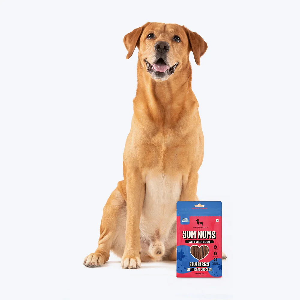 HUFT Sara's Wholesome Grain Free Chicken & Turkey Wet Food and Yum Nums Blueberry with Real Chicken Soft & Chewy Sticks Dog Treats Combo - Image 12