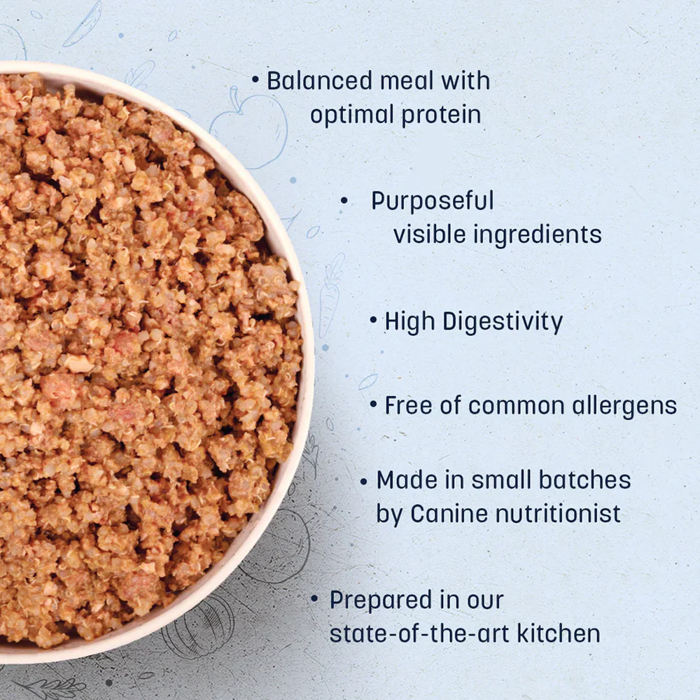 HUFT Sara's Wholesome Hypoallergenic Diet Duck & Quinoa Dog Wet Food - Image 6