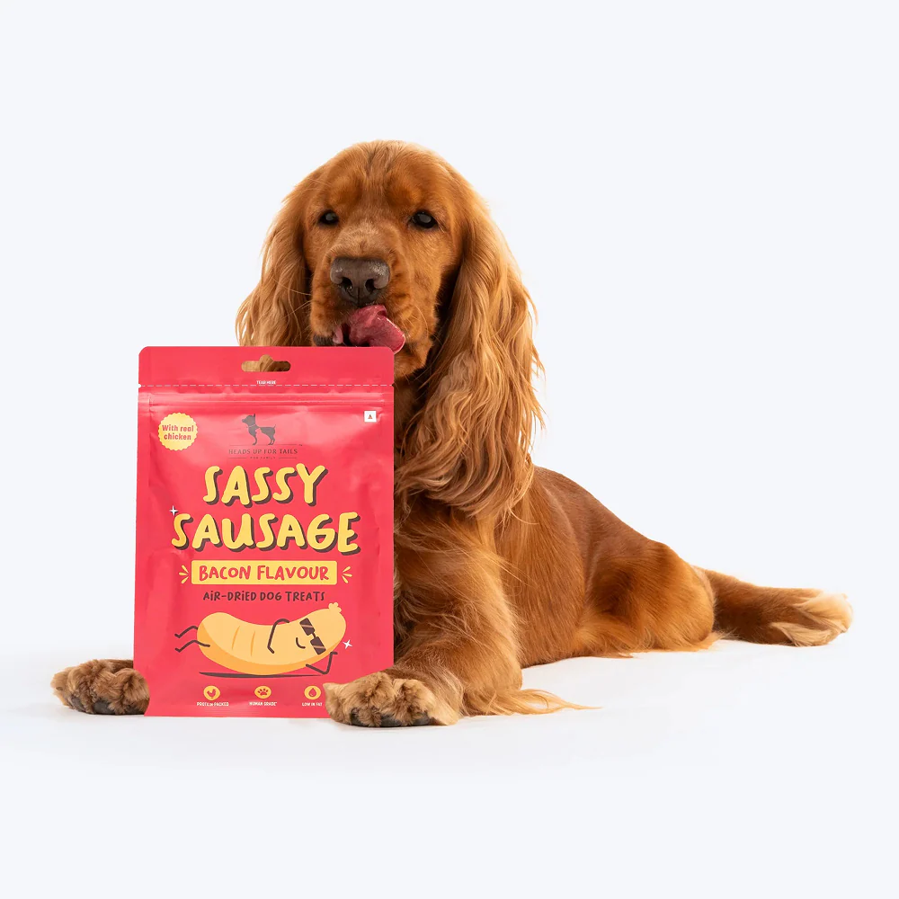 HUFT Sassy Sausage Bacon with Real Chicken Air Dried Treats for Dogs - Image 7