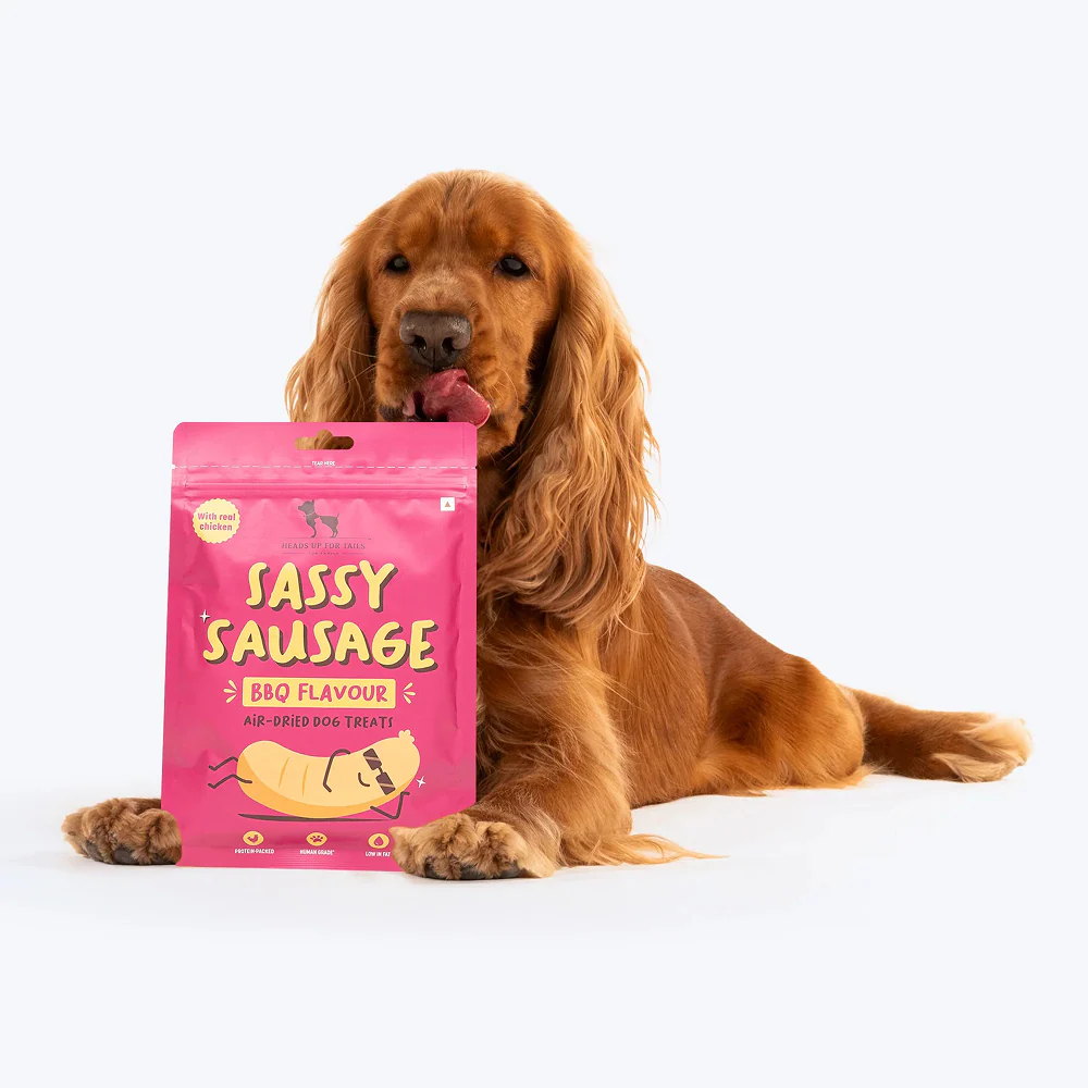 HUFT Sassy Sausage BBQ with Real Chicken Air Dried Treats for Dogs - Image 7