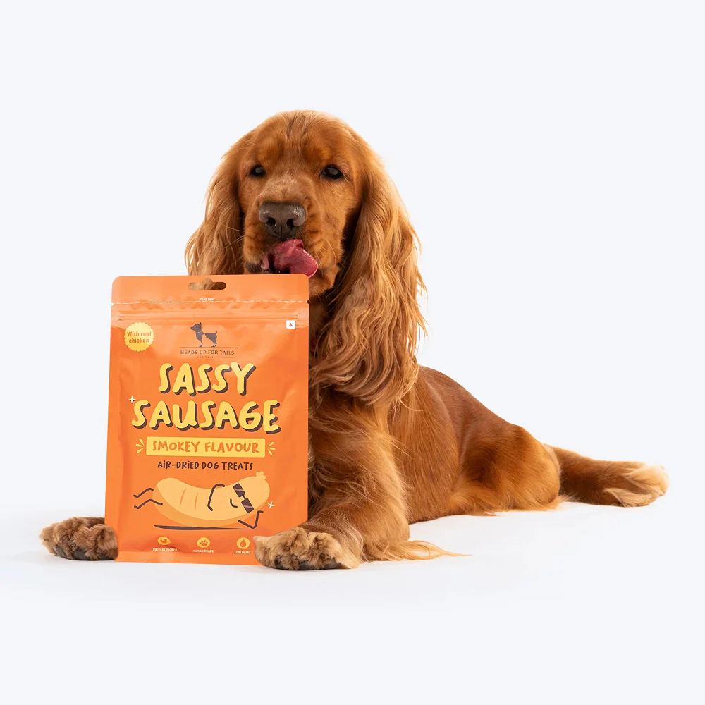 HUFT Sassy Sausage Smokey with Real Chicken Air Dried Treats for Dogs - Image 7