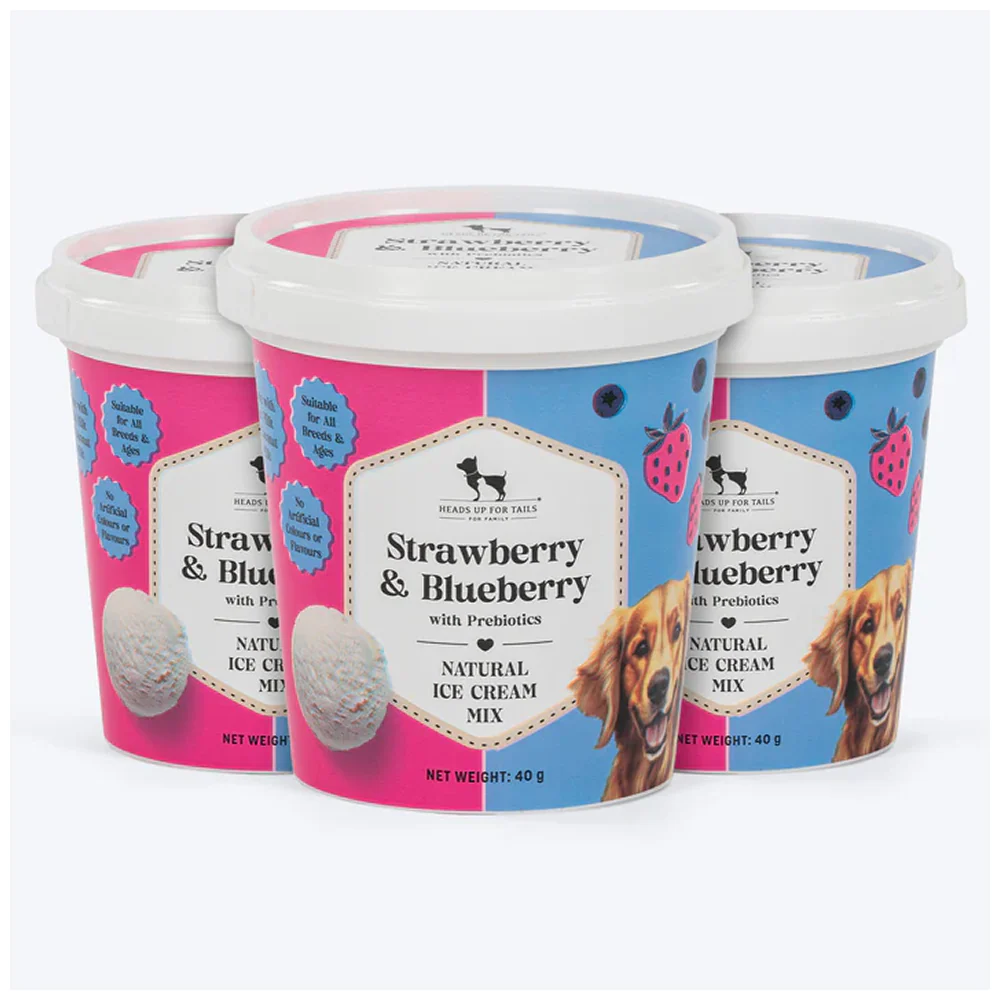 HUFT Strawberry & Blueberry with Prebiotics Ice Cream for Dogs - Image 5