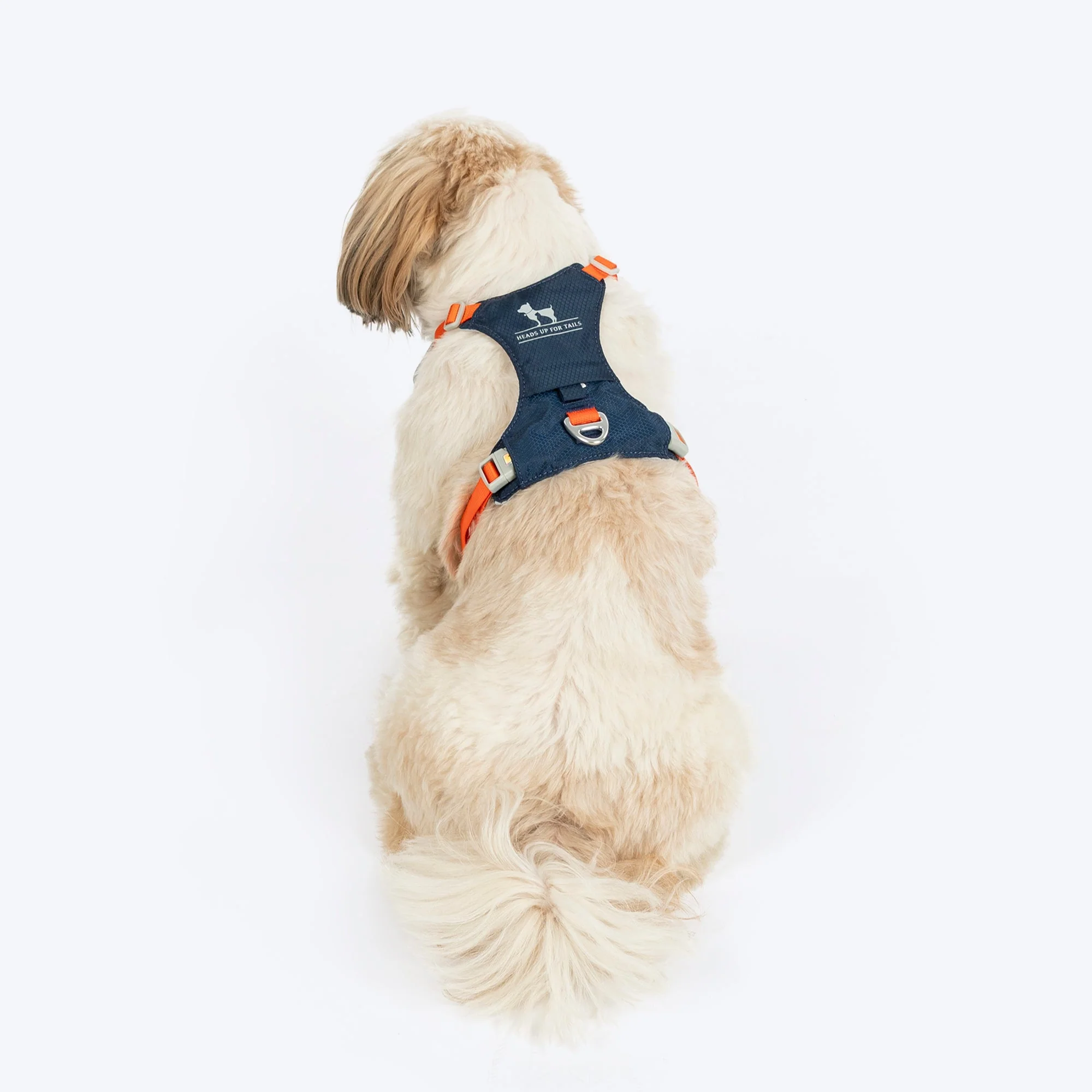 HUFT Walkmate Harness for Dogs (Navy) - Image 2