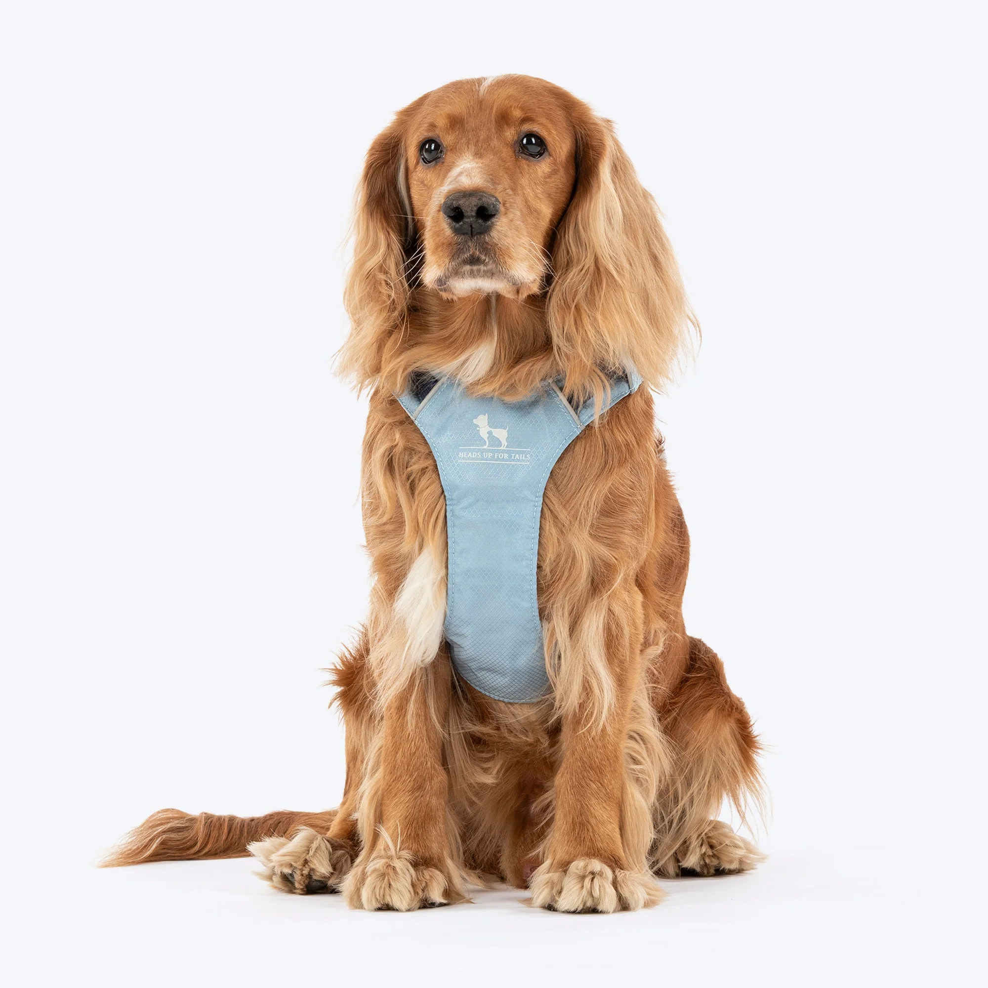 HUFT Walkmate Harness for Dogs (Slate Blue)