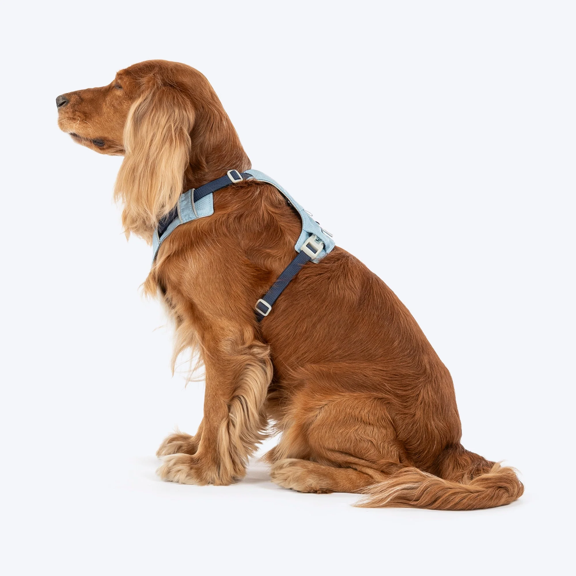 HUFT Walkmate Harness for Dogs (Slate Blue) - Image 2