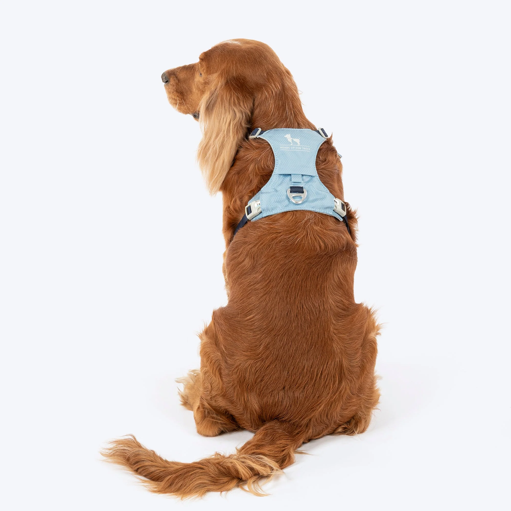 HUFT Walkmate Harness for Dogs (Slate Blue) - Image 3