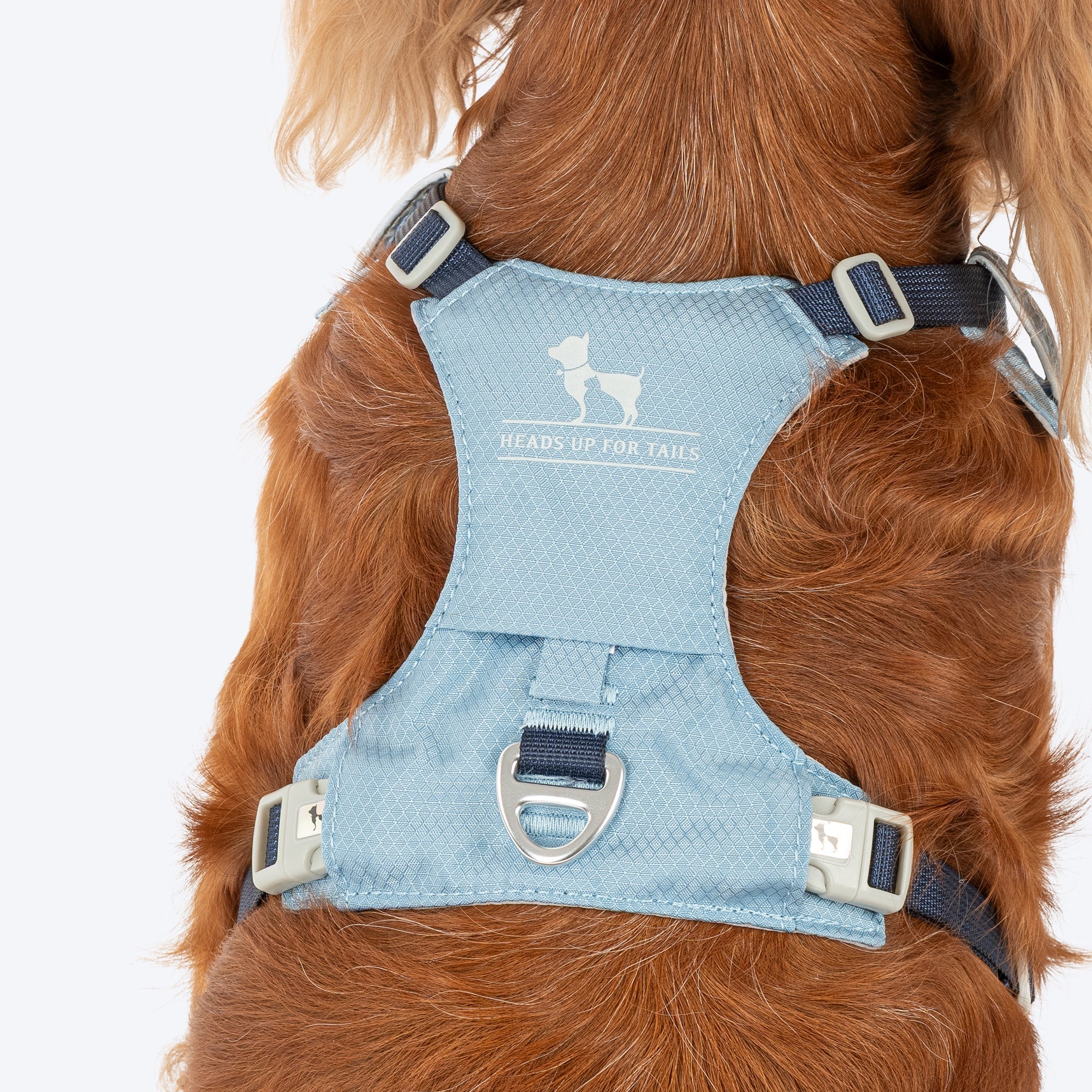 HUFT Walkmate Harness for Dogs (Slate Blue) - Image 4