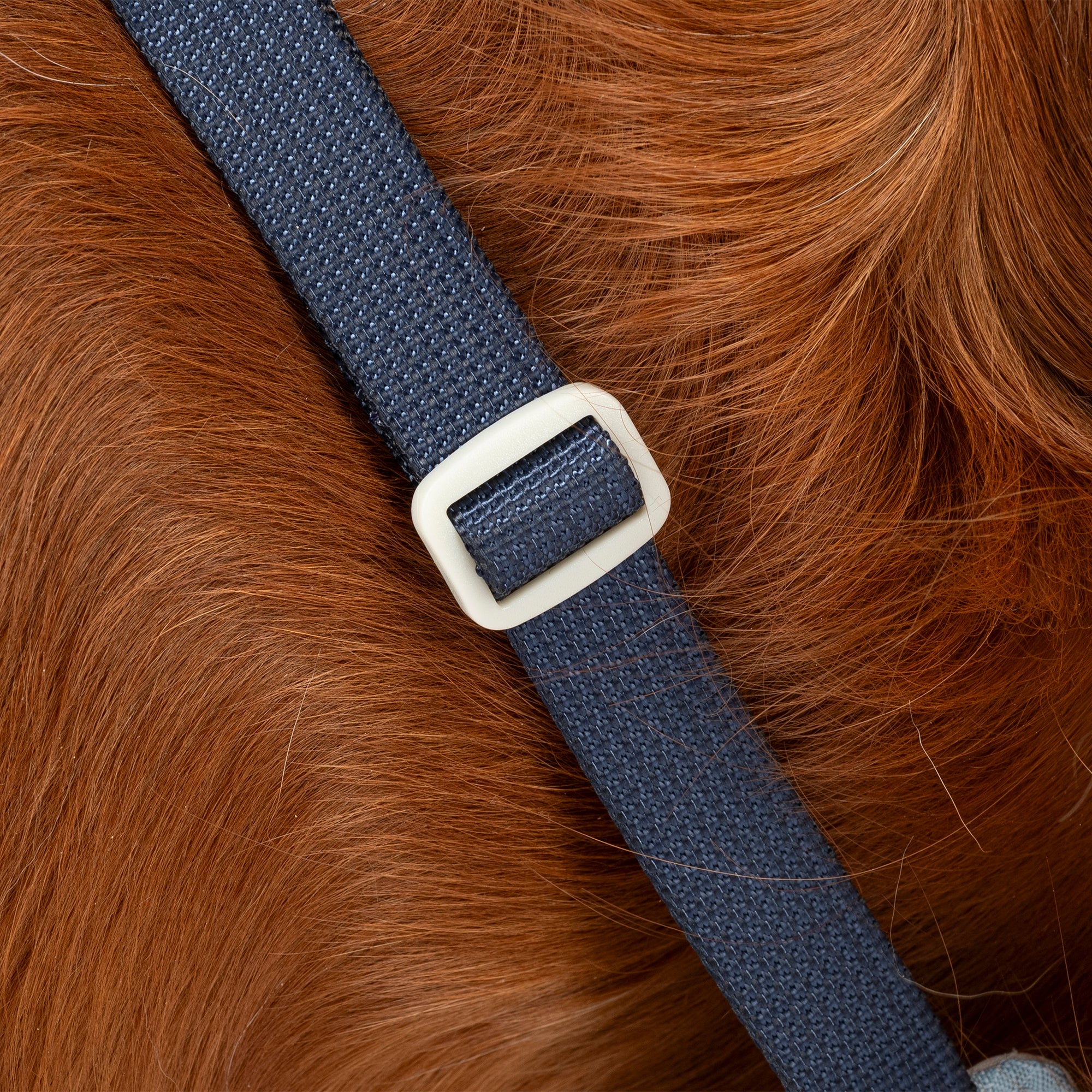 HUFT Walkmate Harness for Dogs (Slate Blue) - Image 6