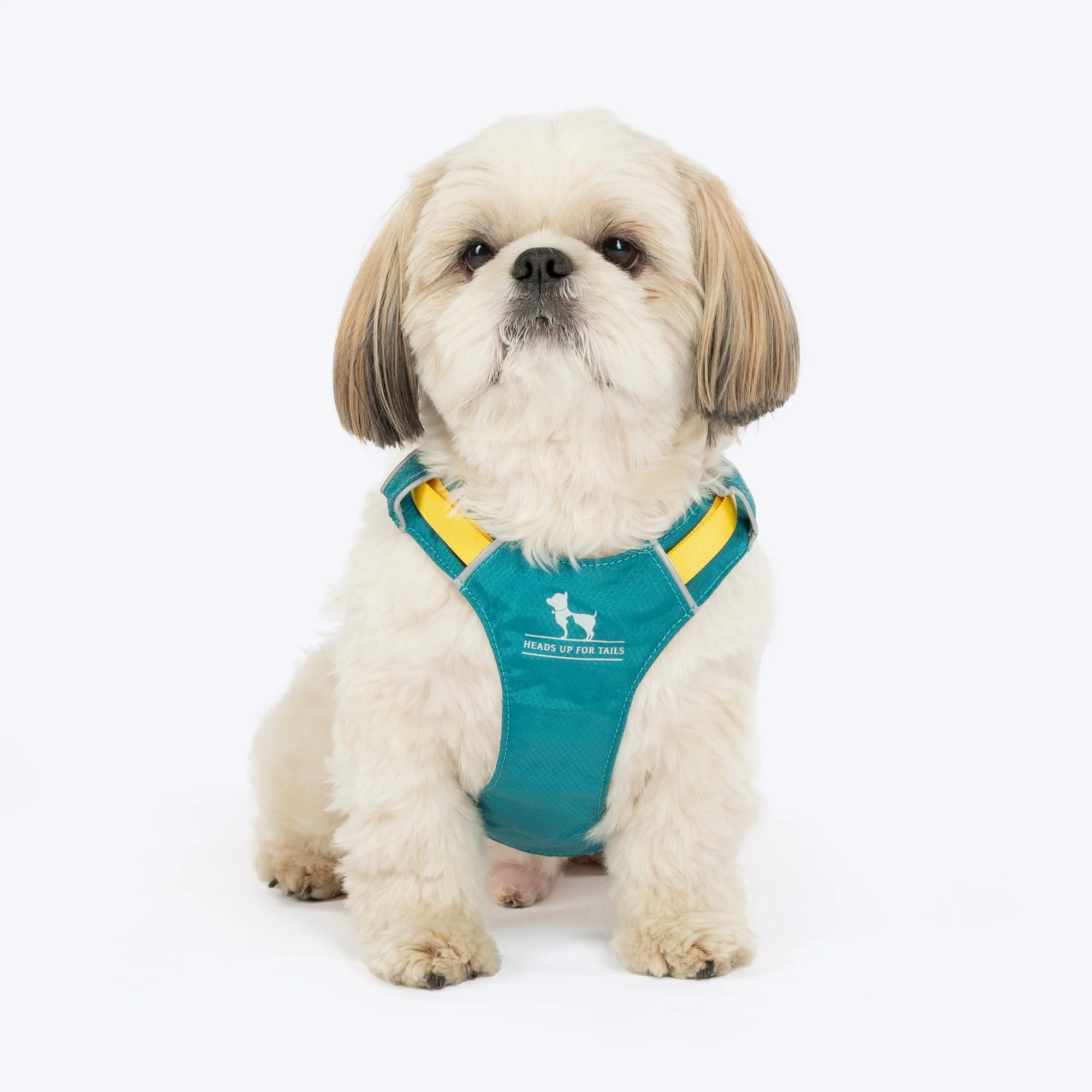 HUFT Walkmate Harness for Dogs (Teal Green)