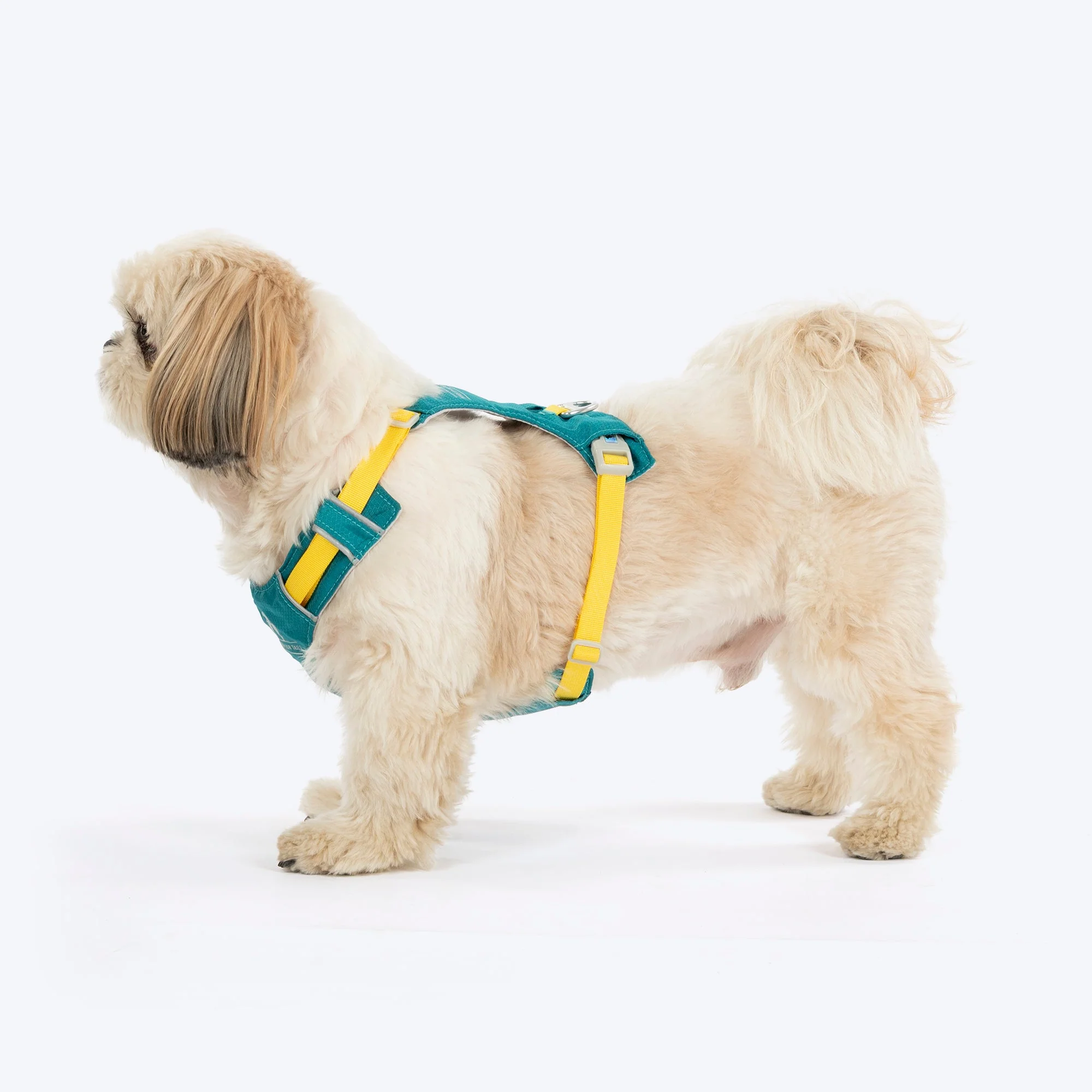 HUFT Walkmate Harness for Dogs (Teal Green) - Image 2