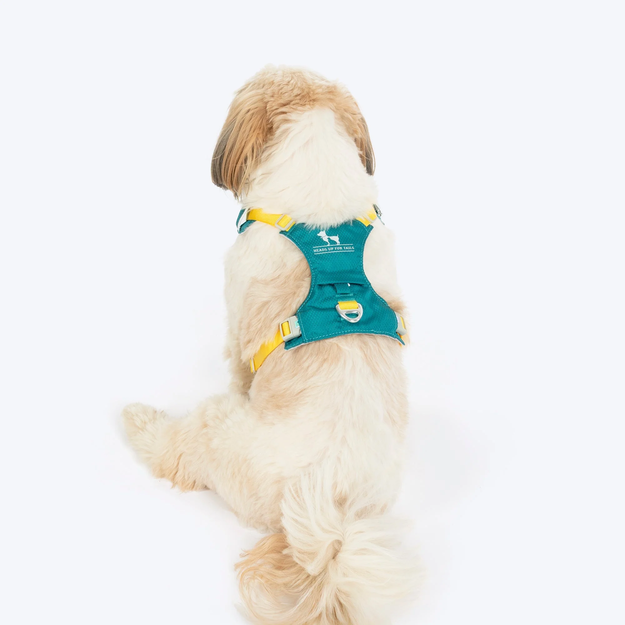 HUFT Walkmate Harness for Dogs (Teal Green) - Image 3