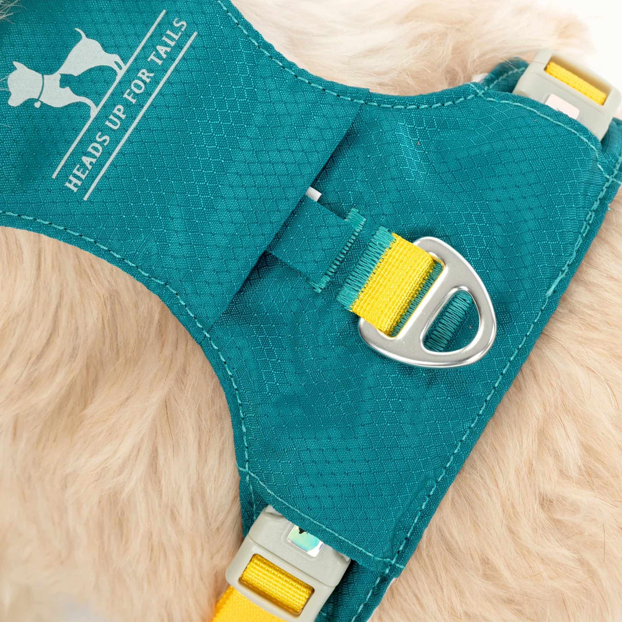HUFT Walkmate Harness for Dogs (Teal Green) - Image 6