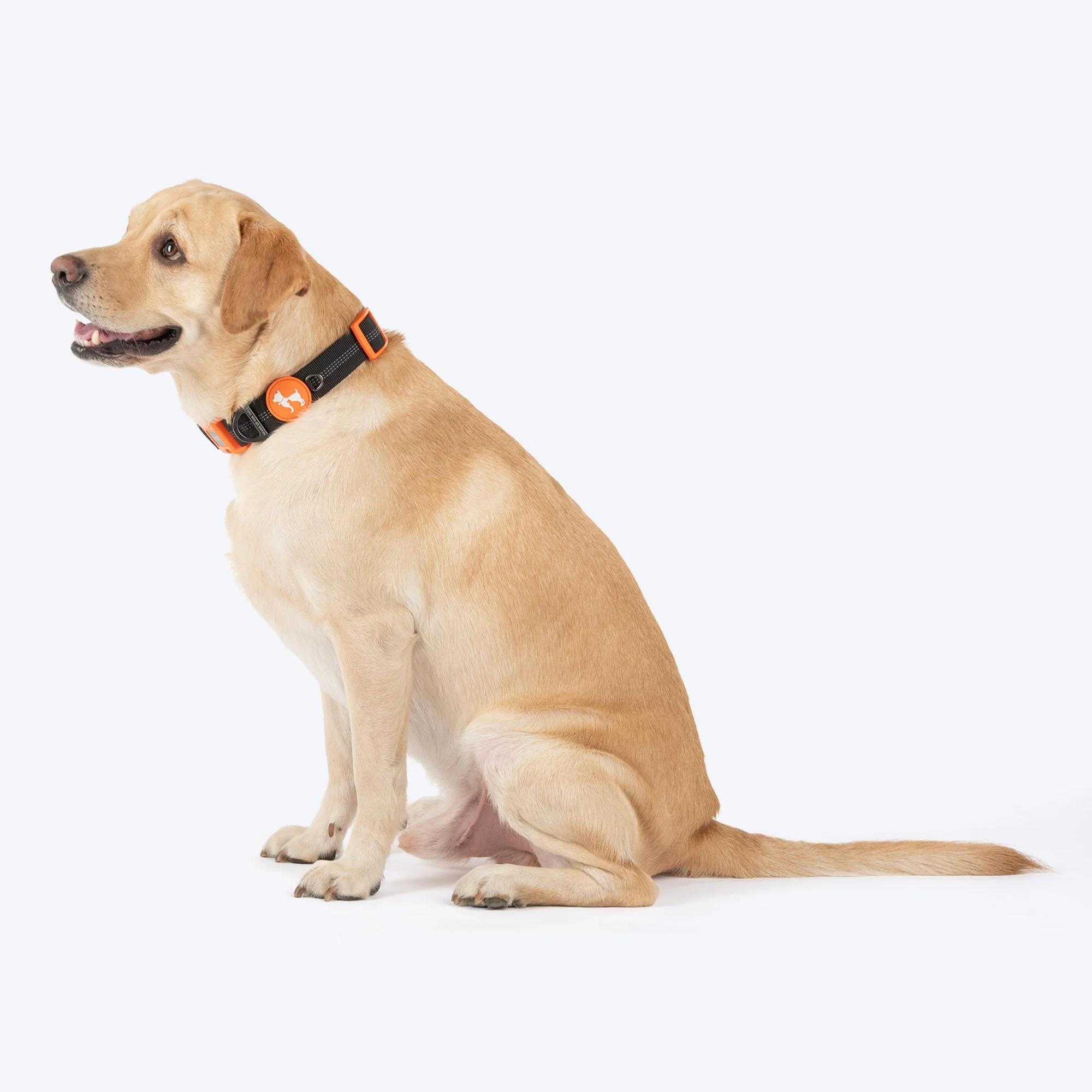 HUFT Xplorers Collar for Dogs (Black) - Image 2