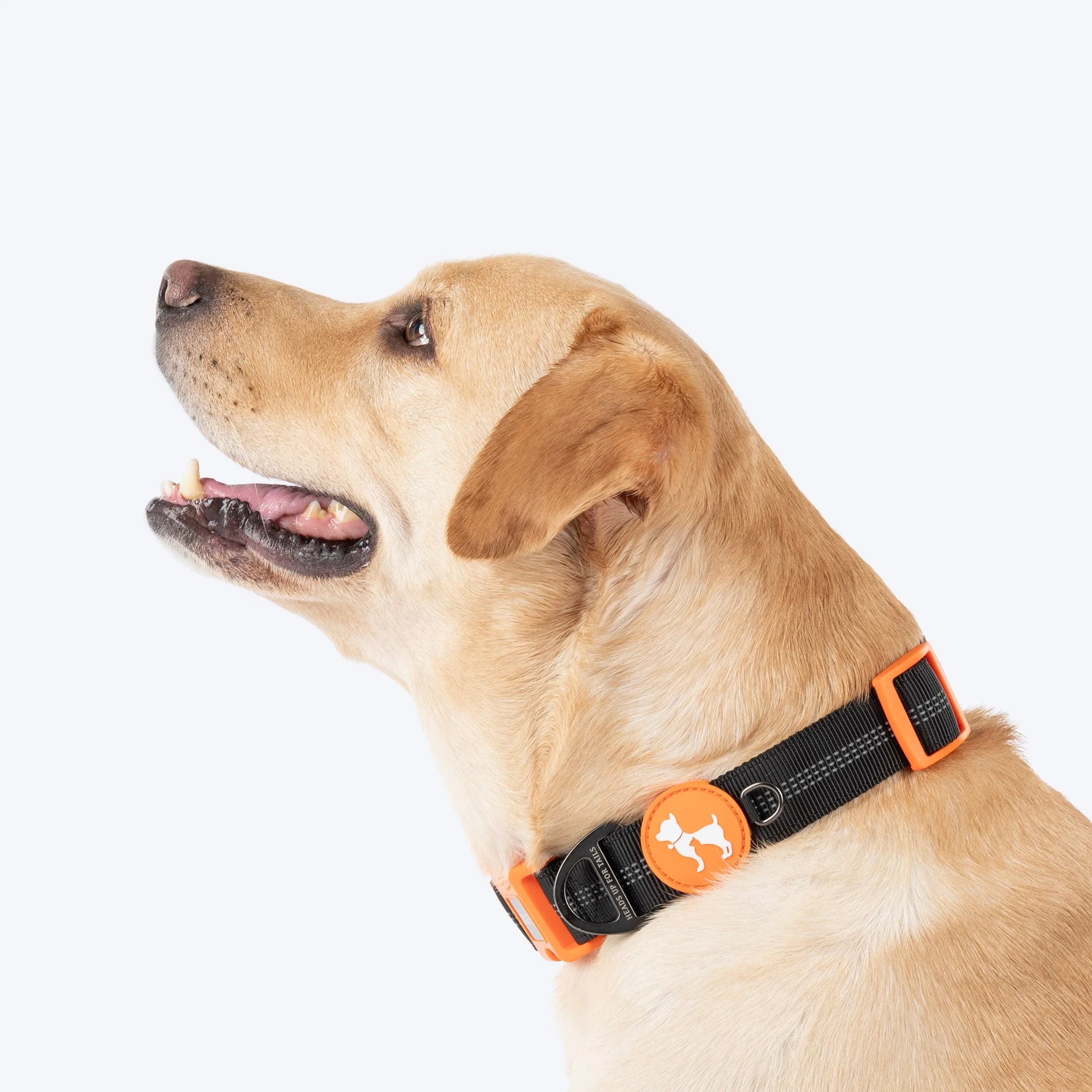 HUFT Xplorers Collar for Dogs (Black) - Image 3