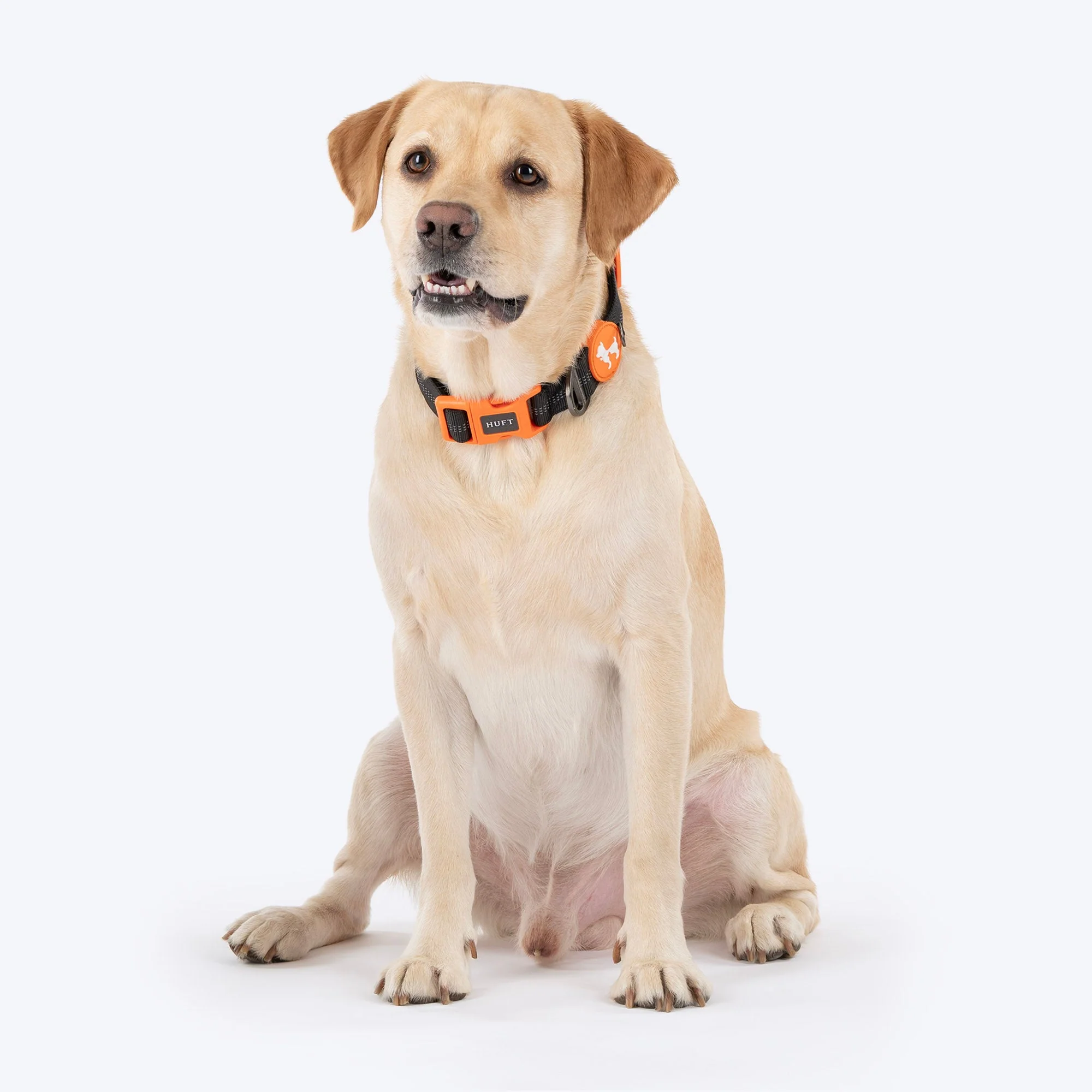 HUFT Xplorers Collar for Dogs (Black) - Image 4