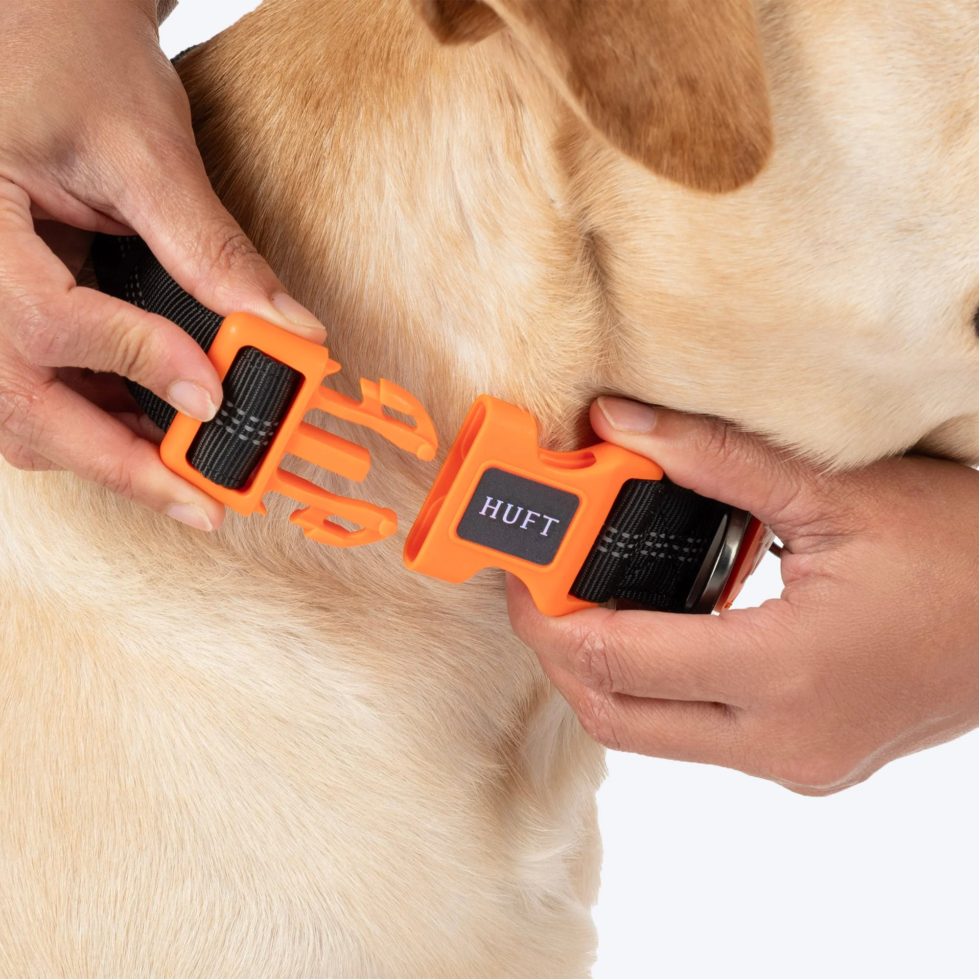 HUFT Xplorers Collar for Dogs (Black) - Image 5