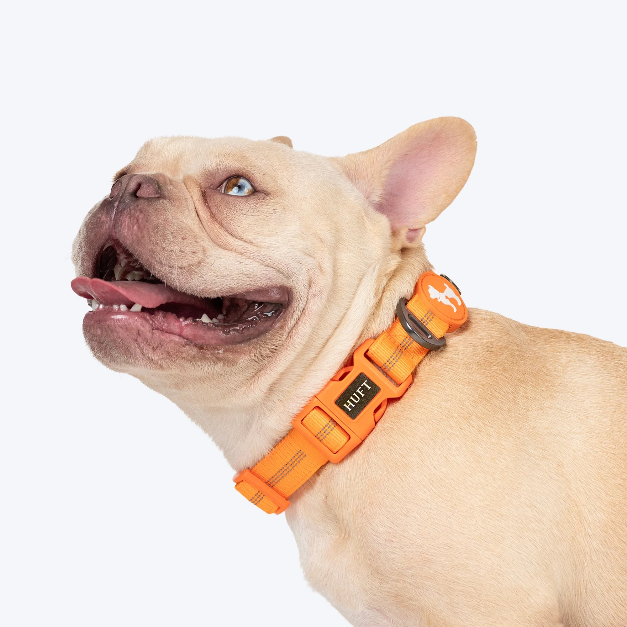 HUFT Xplorers Collar for Dogs (Orange) - Image 3