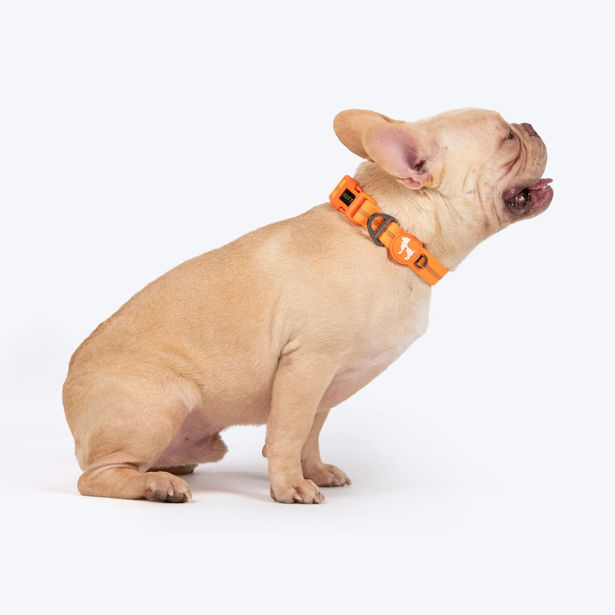 HUFT Xplorers Collar for Dogs (Orange) - Image 4