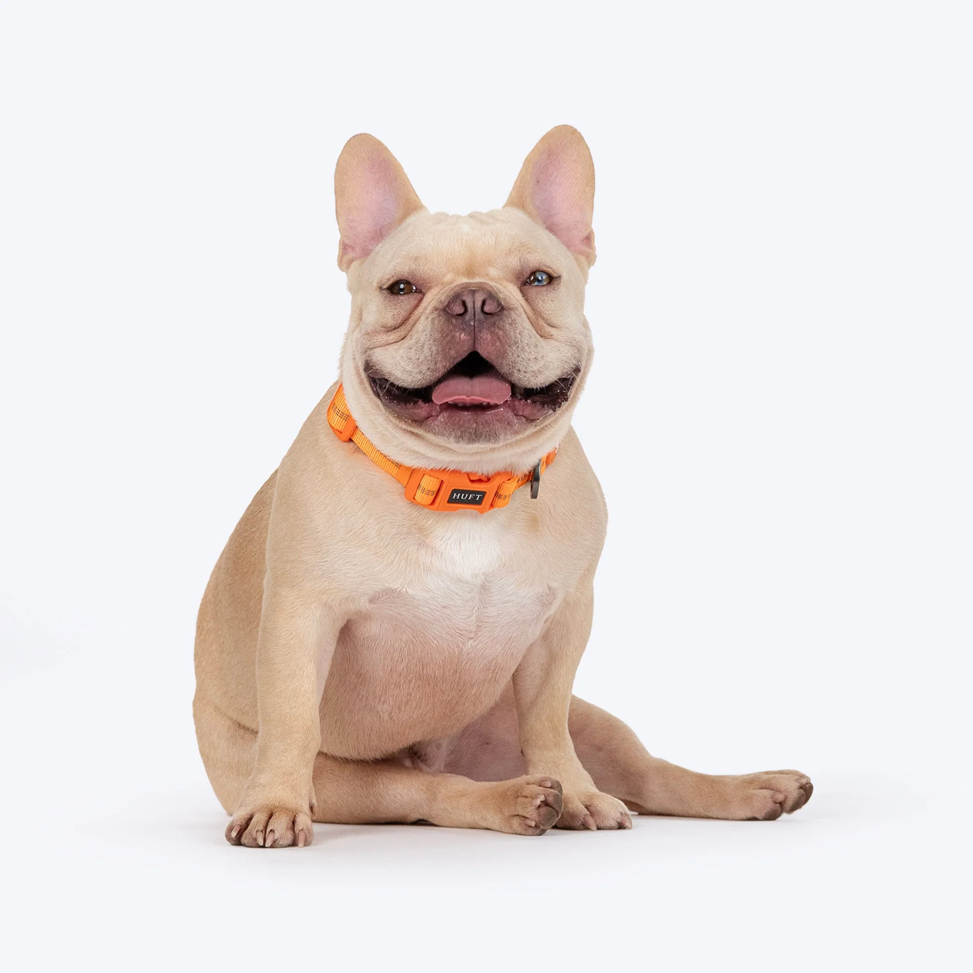 HUFT Xplorers Collar for Dogs (Orange) - Image 5