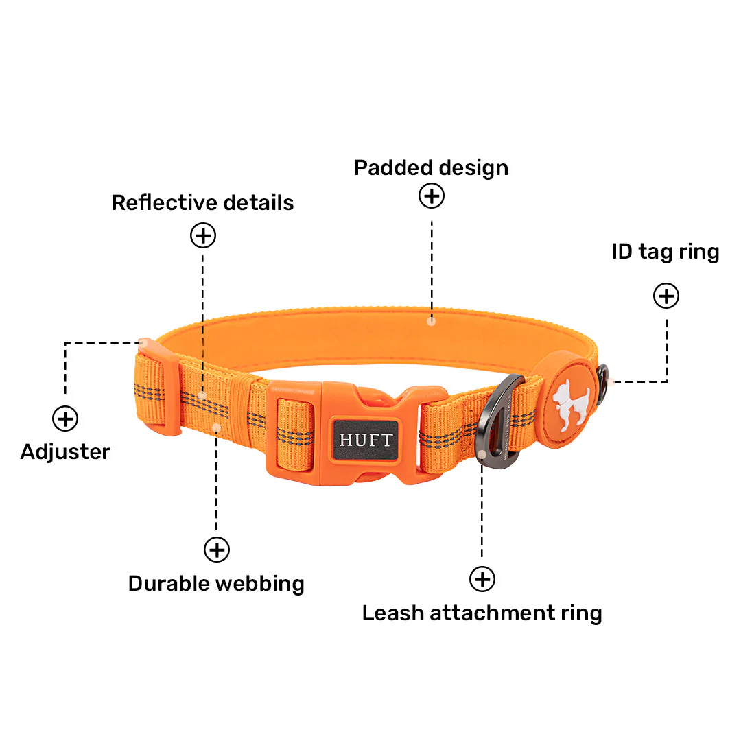 HUFT Xplorers Collar for Dogs (Orange) - Image 6