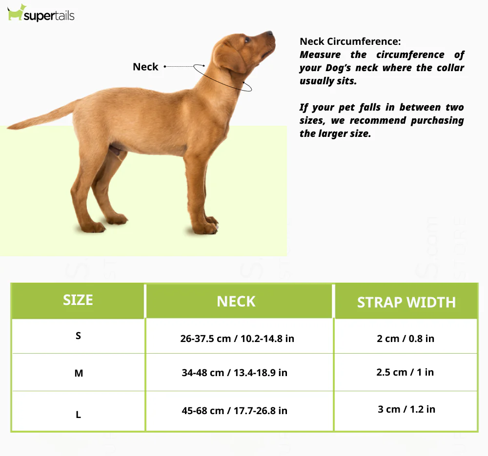 HUFT Xplorers Collar for Dogs (Red) - Image 15
