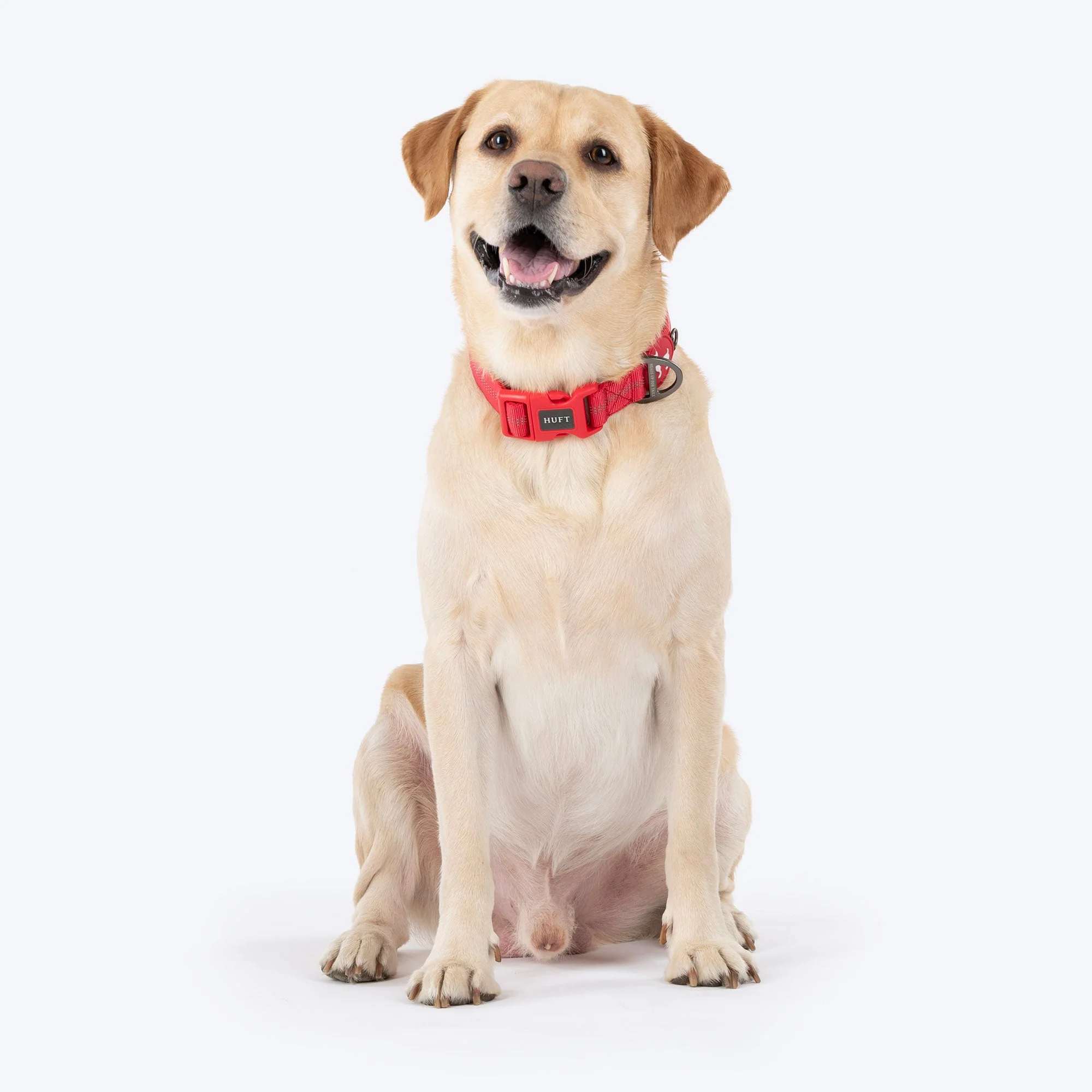 HUFT Xplorers Collar for Dogs (Red) - Image 3