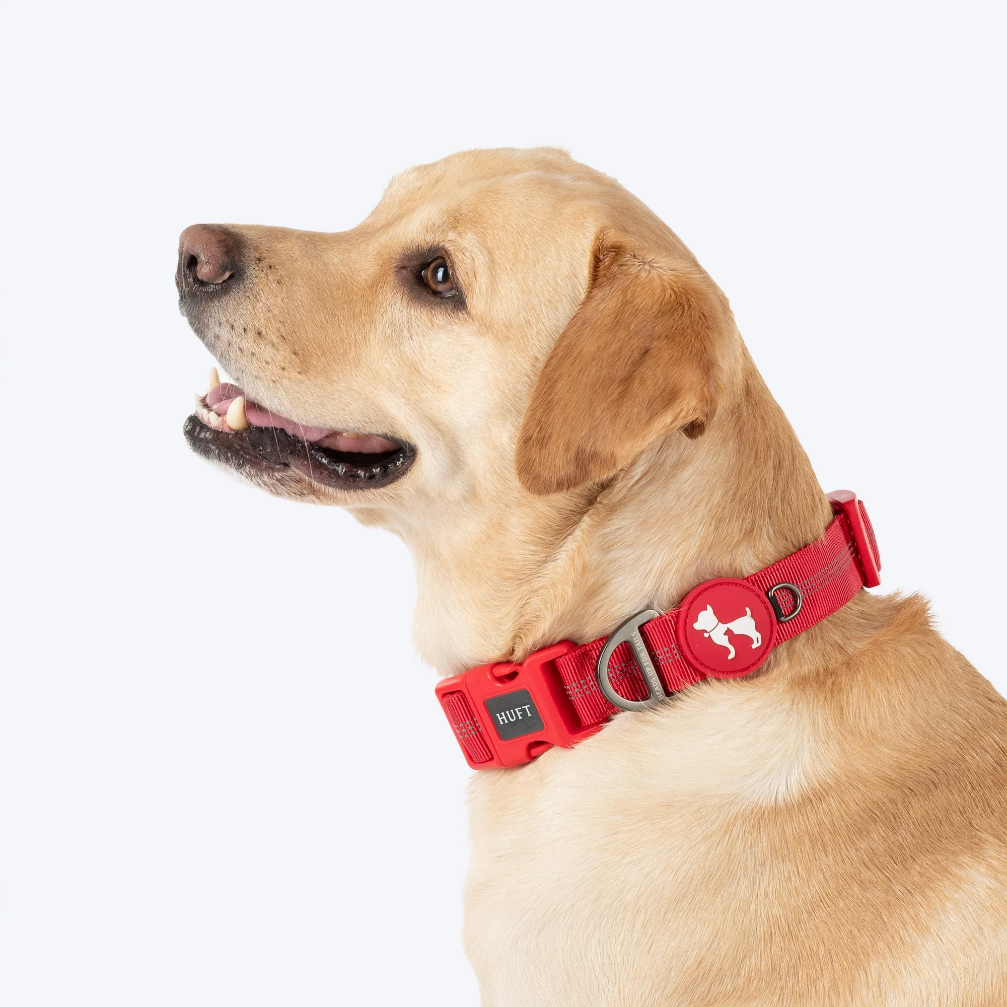 HUFT Xplorers Collar for Dogs (Red) - Image 4