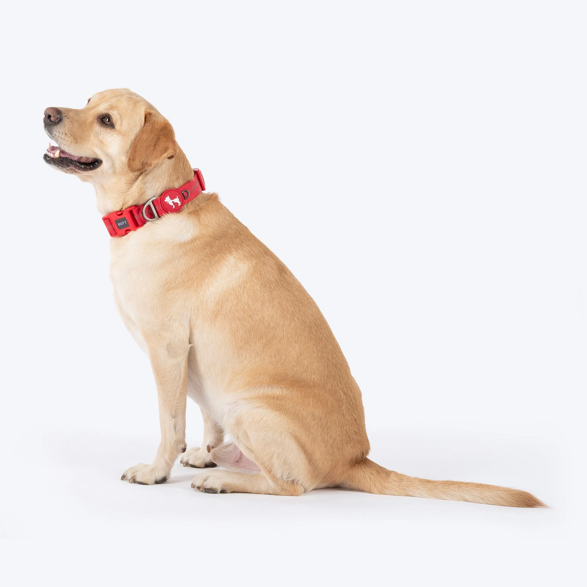 HUFT Xplorers Collar for Dogs (Red) - Image 5