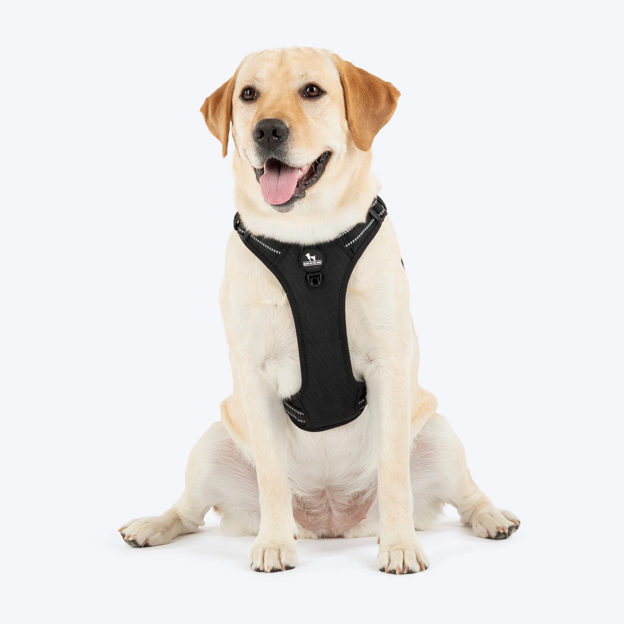 HUFT Xplorers Harness for Dogs (Black)
