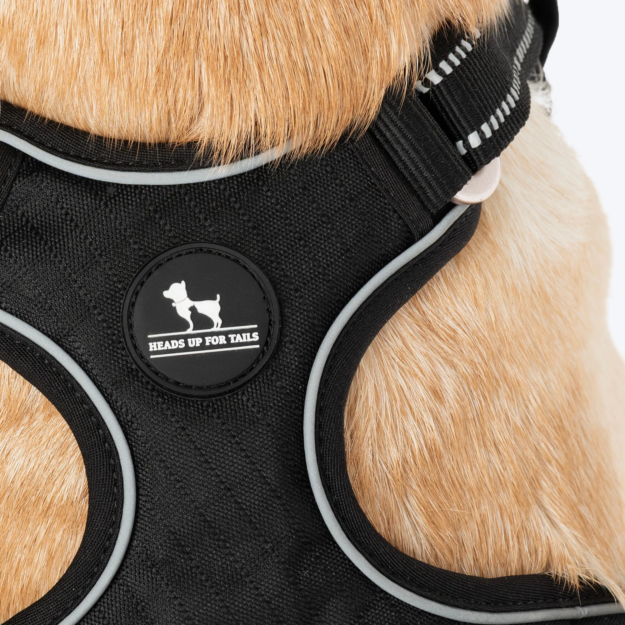 HUFT Xplorers Harness for Dogs (Black) - Image 10