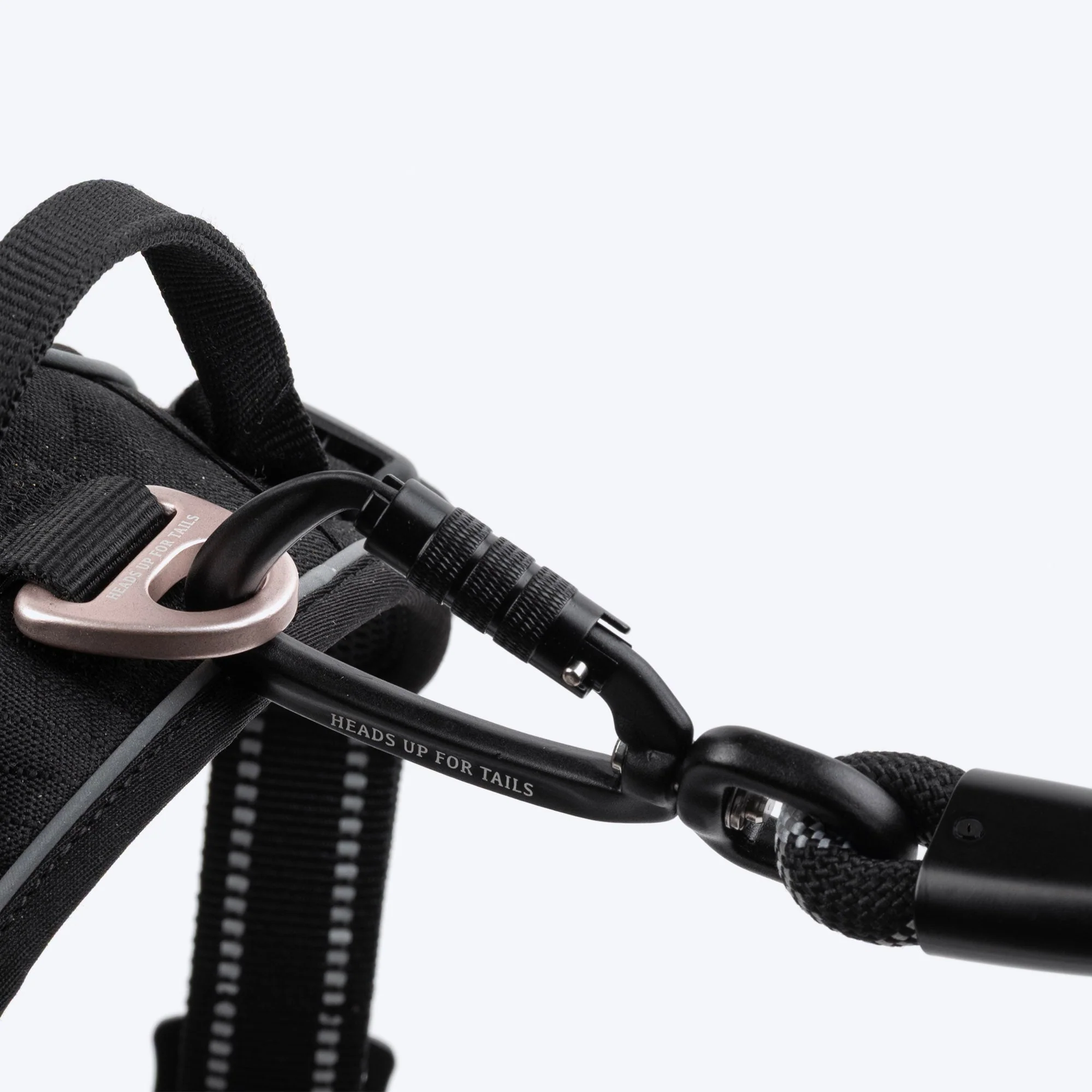 HUFT Xplorers Harness for Dogs (Black) - Image 11