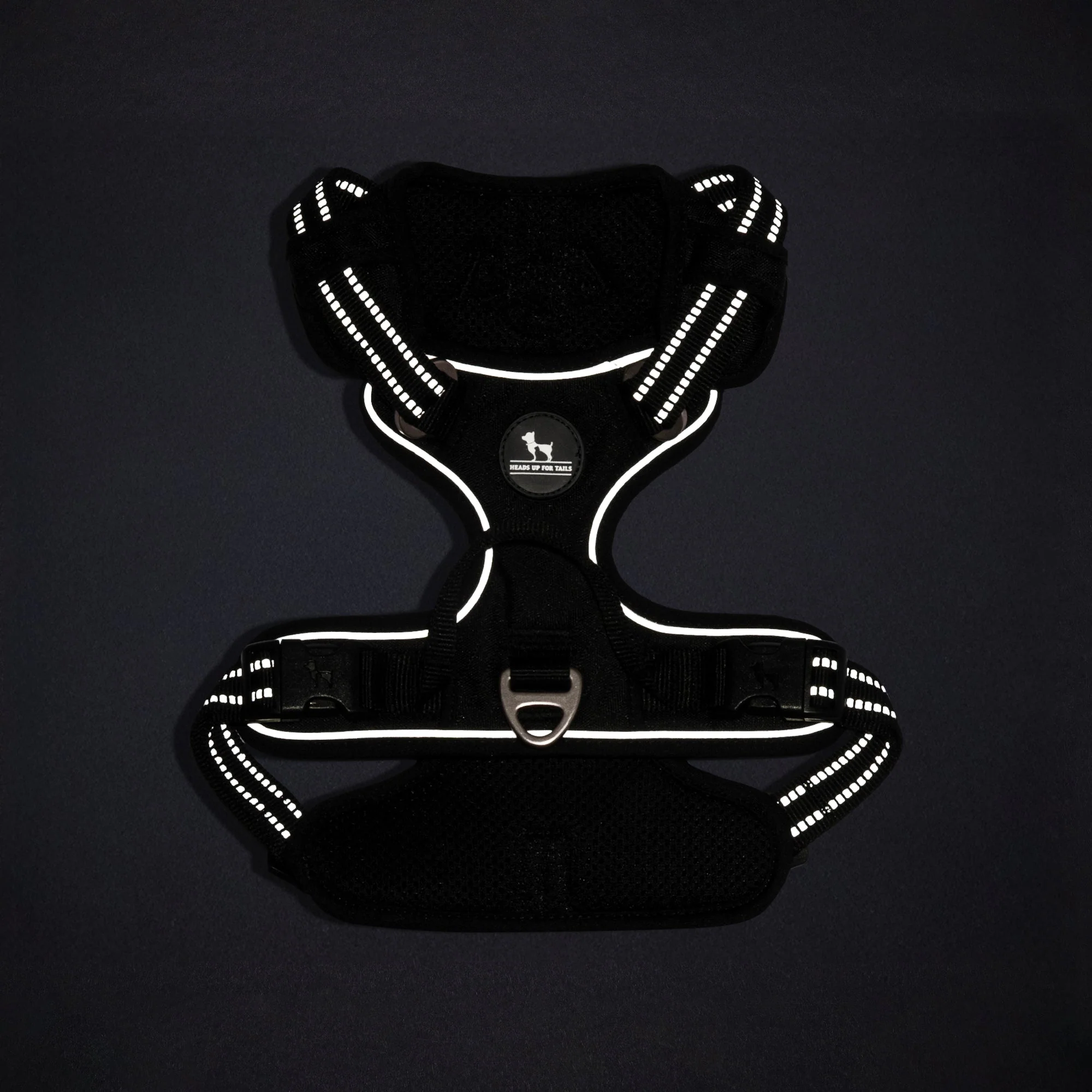 HUFT Xplorers Harness for Dogs (Black) - Image 15