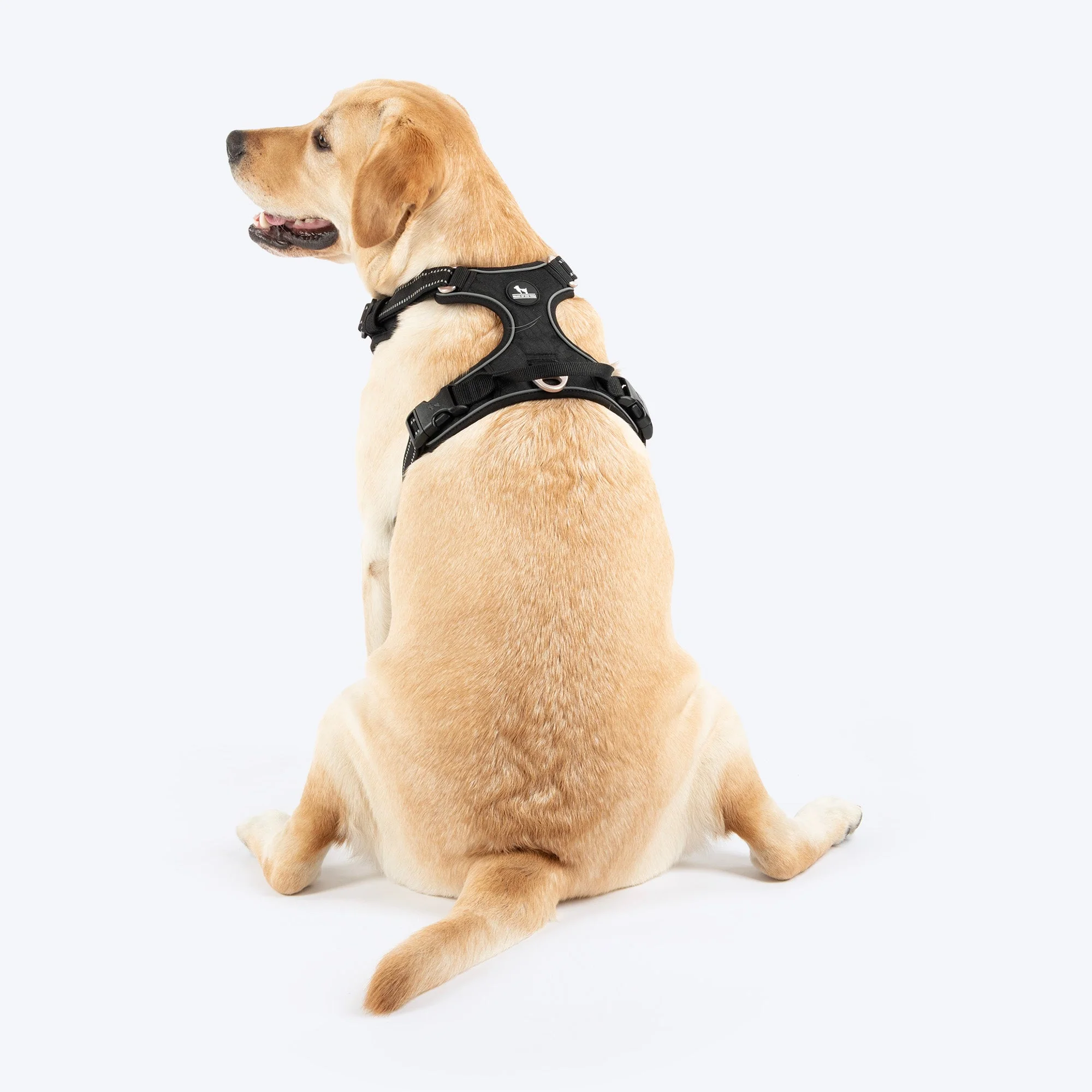 HUFT Xplorers Harness for Dogs (Black) - Image 2