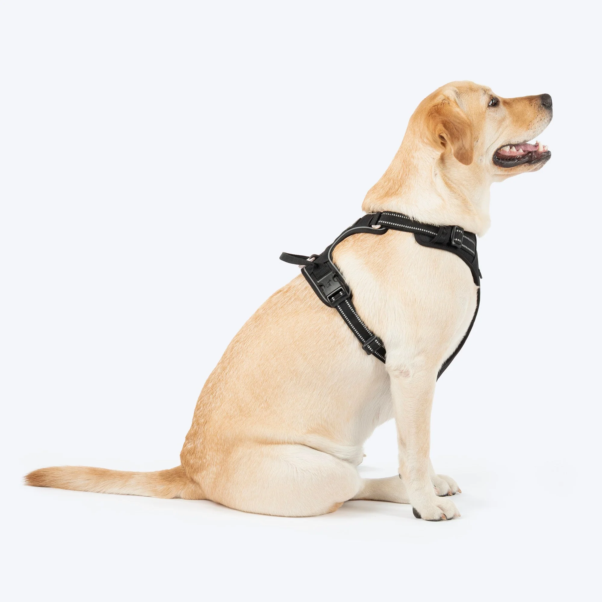 HUFT Xplorers Harness for Dogs (Black) - Image 3