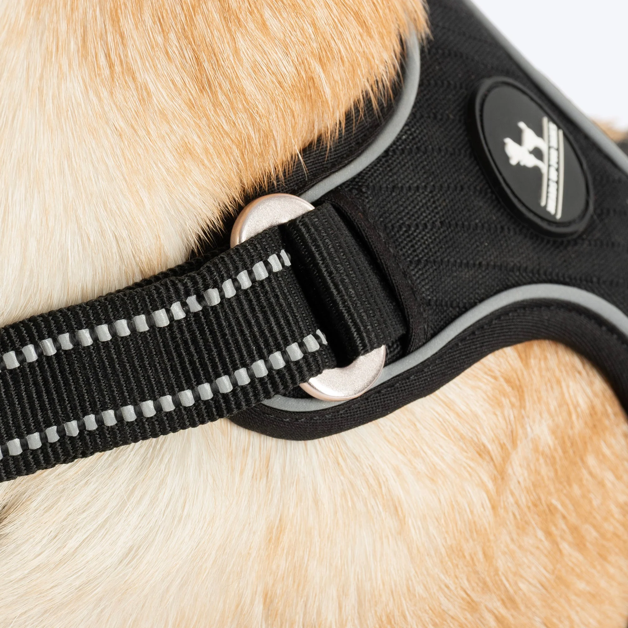 HUFT Xplorers Harness for Dogs (Black) - Image 5